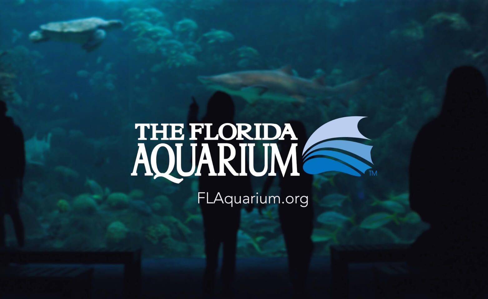 Florida Aquarium