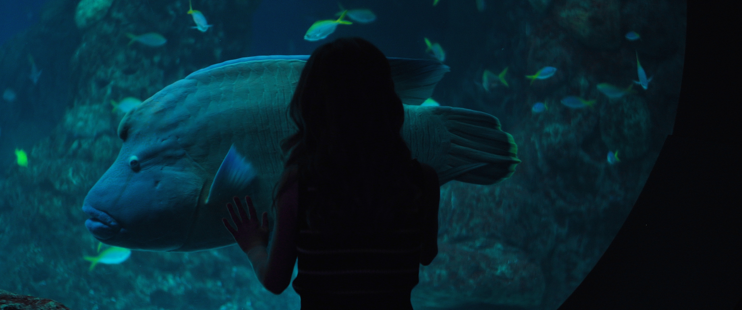 Florida Aquarium Spot production still