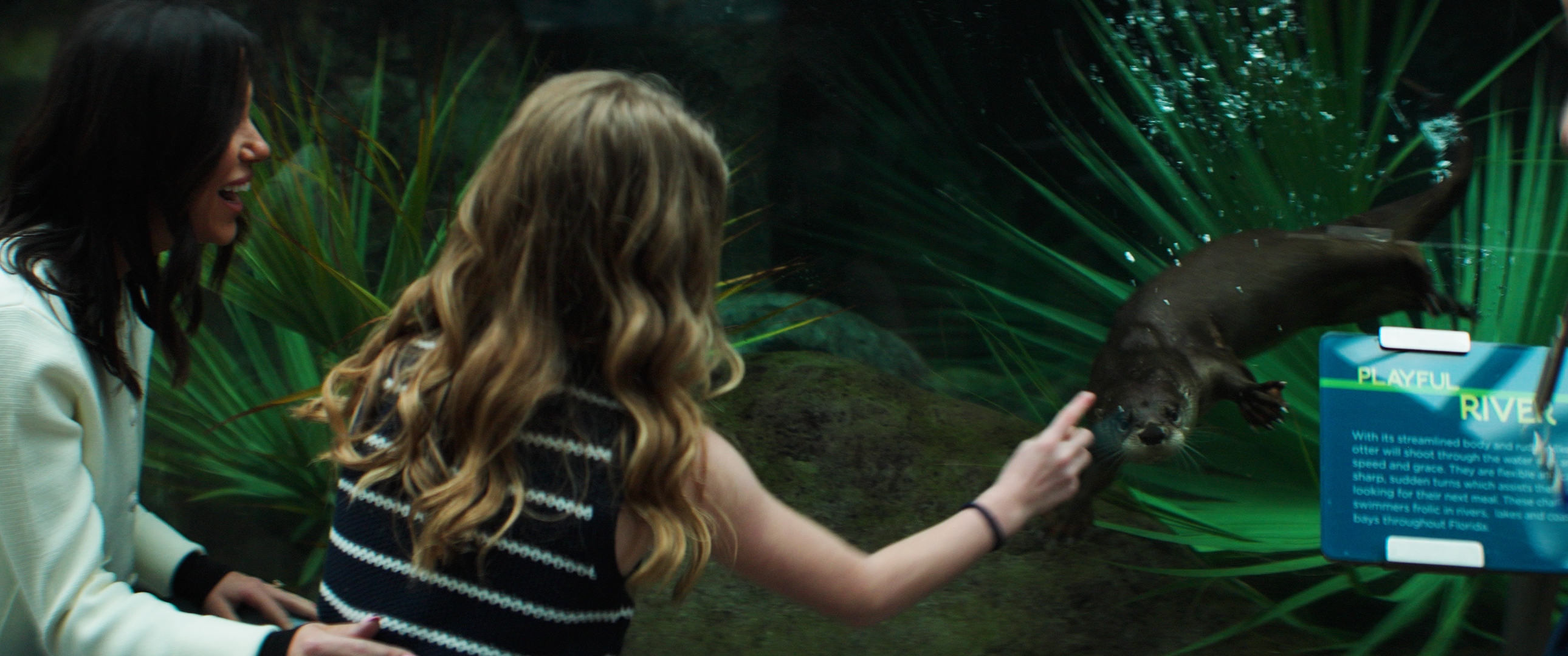 Florida Aquarium Spot production still