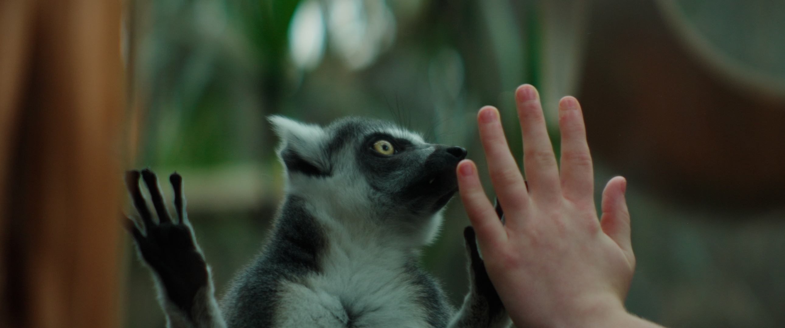 Florida Aquarium Spot production still